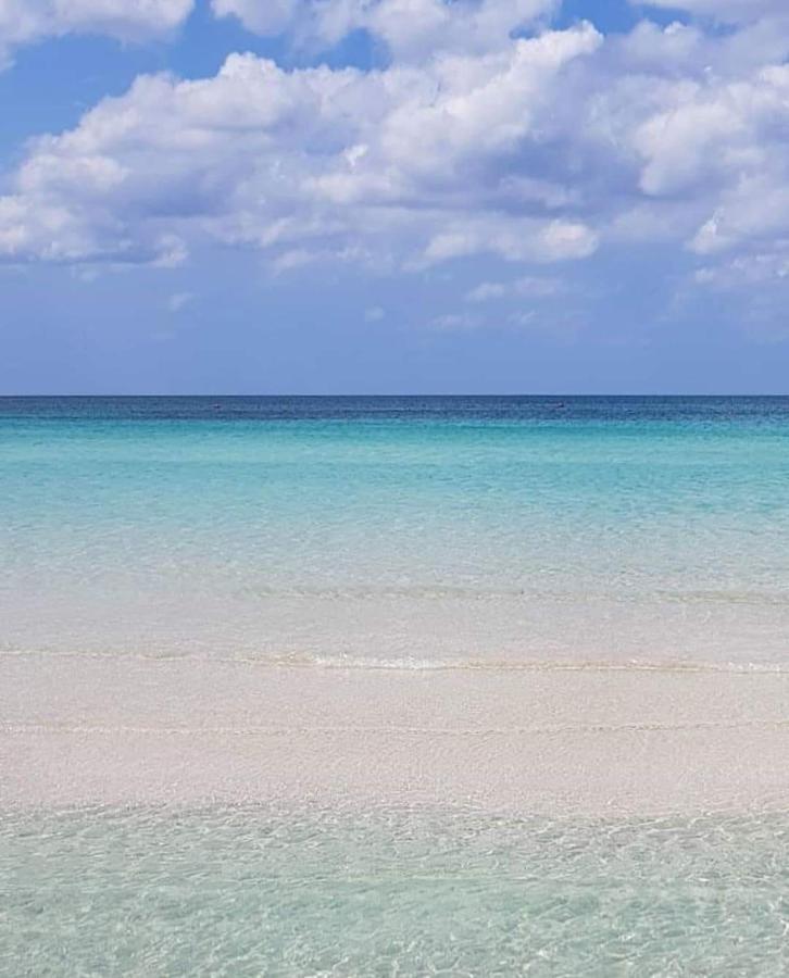 Manidibianco Apulian Relaxing Stay Turi Exteriör bild